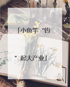 小鱼竿“钓”起大产业