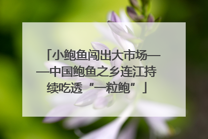 小鲍鱼闯出大市场——中国鲍鱼之乡连江持续吃透“一粒鲍”
