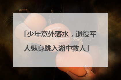 少年意外落水，退役军人纵身跳入湖中救人