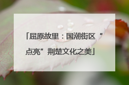 屈原故里：国潮街区“点亮”荆楚文化之美