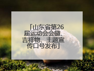 山东省第26届运动会会徽、吉祥物、主题宣传口号发布