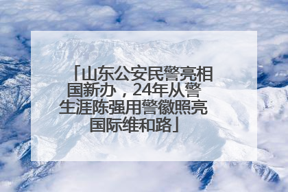 山东公安民警亮相国新办，24年从警生涯陈强用警徽照亮国际维和路