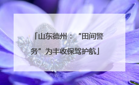 山东德州：“田间警务”为丰收保驾护航
