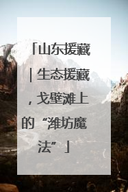 山东援藏｜生态援藏，戈壁滩上的“潍坊魔法”