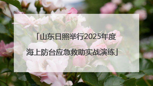 山东日照举行2025年度海上防台应急救助实战演练