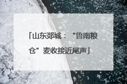 山东郯城：“鲁南粮仓”麦收接近尾声