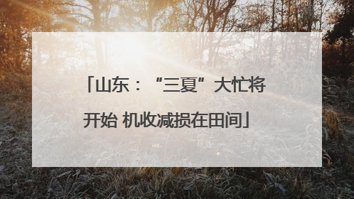 山东：“三夏”大忙将开始 机收减损在田间