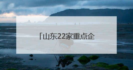 山东22家重点企业亮相第九届丝绸之路国际博览会