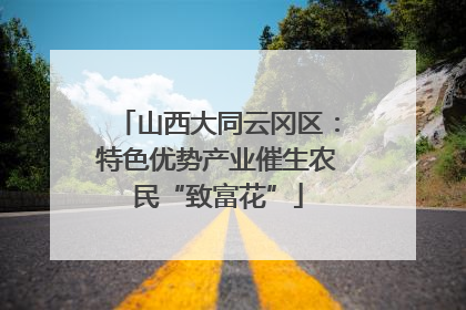 山西大同云冈区：特色优势产业催生农民“致富花”