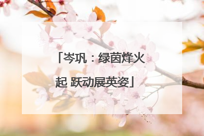 岑巩：绿茵烽火起 跃动展英姿