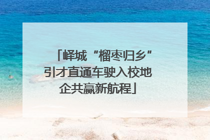 峄城“榴枣归乡”引才直通车驶入校地企共赢新航程
