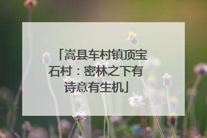 嵩县车村镇顶宝石村：密林之下有诗意有生机