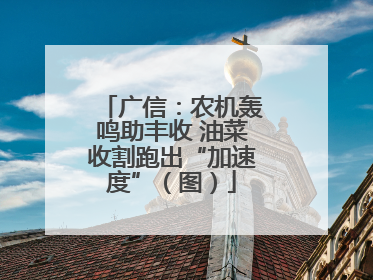 广信：农机轰鸣助丰收 油菜收割跑出“加速度”（图）