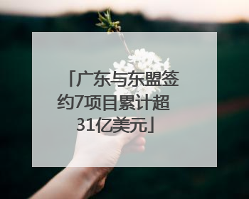 广东与东盟签约7项目累计超31亿美元