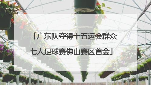 广东队夺得十五运会群众七人足球赛佛山赛区首金