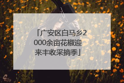 广安区白马乡2000余亩花椒迎来丰收采摘季