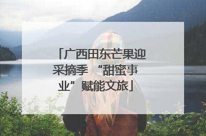 广西田东芒果迎采摘季 “甜蜜事业”赋能文旅