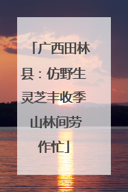 广西田林县：仿野生灵芝丰收季 山林间劳作忙