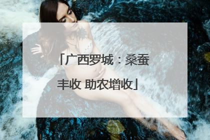 广西罗城：桑蚕丰收 助农增收