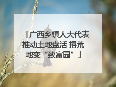 广西乡镇人大代表推动土地盘活 撂荒地变“致富园”