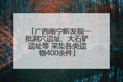 广西南宁新发现一批洞穴遗址、大石铲遗址等 采集各类遗物400余件