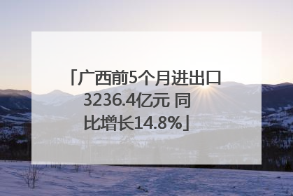 广西前5个月进出口3236.4亿元 同比增长14.8%