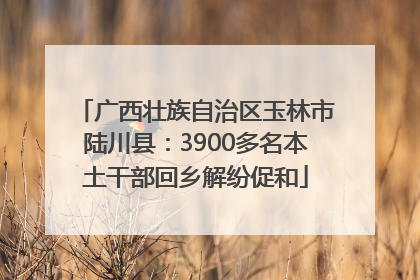 广西壮族自治区玉林市陆川县：3900多名本土干部回乡解纷促和