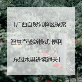 广西自贸试验区探索智慧查验新模式 便利东盟水果进境通关