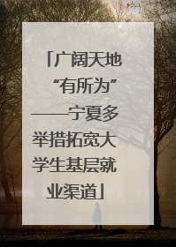 广阔天地“有所为”——宁夏多举措拓宽大学生基层就业渠道