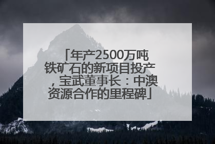 年产2500万吨铁矿石的新项目投产，宝武董事长：中澳资源合作的里程碑