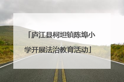 庐江县柯坦镇陈埠小学开展法治教育活动