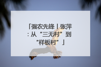 强农先锋丨张萍：从“三无村”到“样板村”
