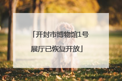开封市博物馆1号展厅已恢复开放