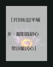 开封杞县平城乡：履职践初心 帮扶暖民心