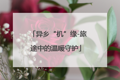 异乡“机”缘-旅途中的温暖守护