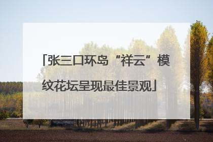 张三口环岛“祥云”模纹花坛呈现最佳景观