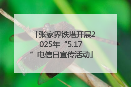 张家界铁塔开展2025年“5.17”电信日宣传活动