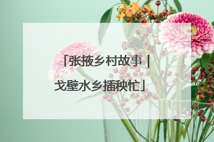 张掖乡村故事｜戈壁水乡插秧忙