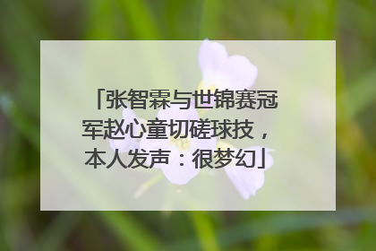 张智霖与世锦赛冠军赵心童切磋球技，本人发声：很梦幻