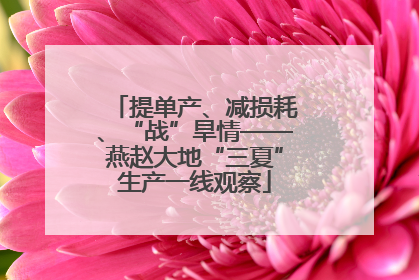 提单产、减损耗、“战”旱情——燕赵大地“三夏”生产一线观察