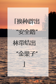 换种辟出“安全路” 林带结出“金果子”