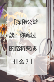 探秘公益款：你跑过的路将变成什么？