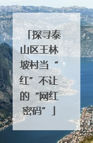 探寻泰山区王林坡村当“红”不让的“网红密码”