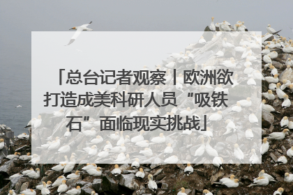 总台记者观察丨欧洲欲打造成美科研人员“吸铁石”面临现实挑战