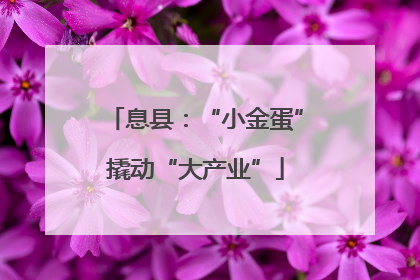 息县：“小金蛋”撬动“大产业”