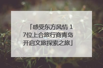 感受东方风情 17位上合旅行商青岛开启文旅探索之旅
