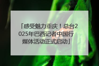 感受魅力重庆！总台2025年巴西记者中国行媒体活动正式启动