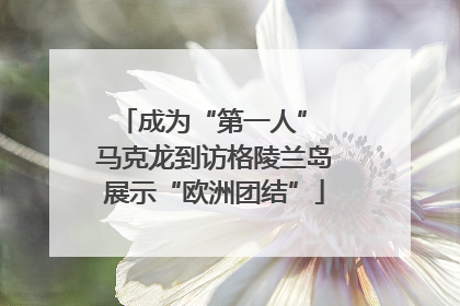 成为“第一人” 马克龙到访格陵兰岛展示“欧洲团结”