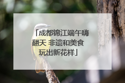 成都锦江端午嗨翻天 非遗和美食玩出新花样