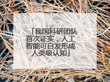 我国科研团队首次证实，人工智能可自发形成人类级认知